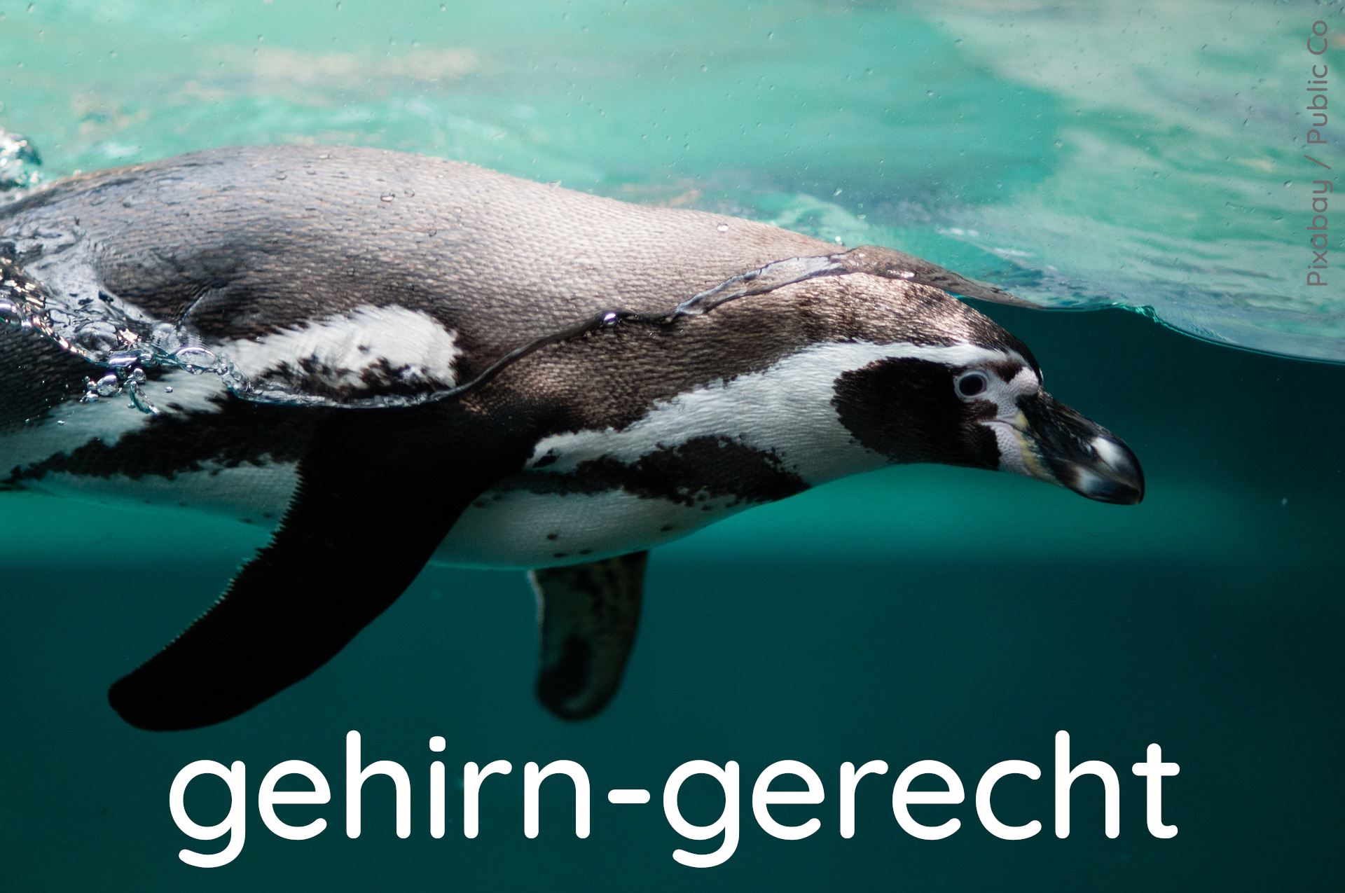 Pinguin Element gehirn-gerecht Quelle