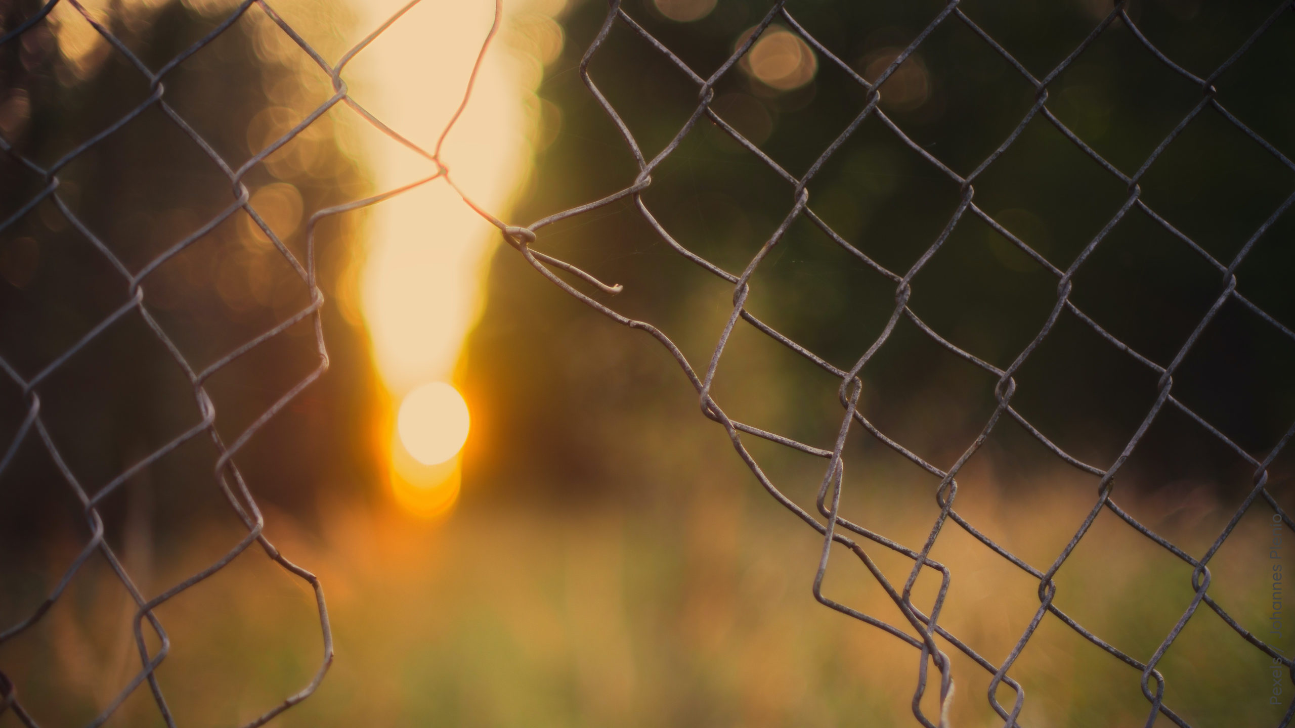 Maschendrahtzaun mit Lücke grey wire fence